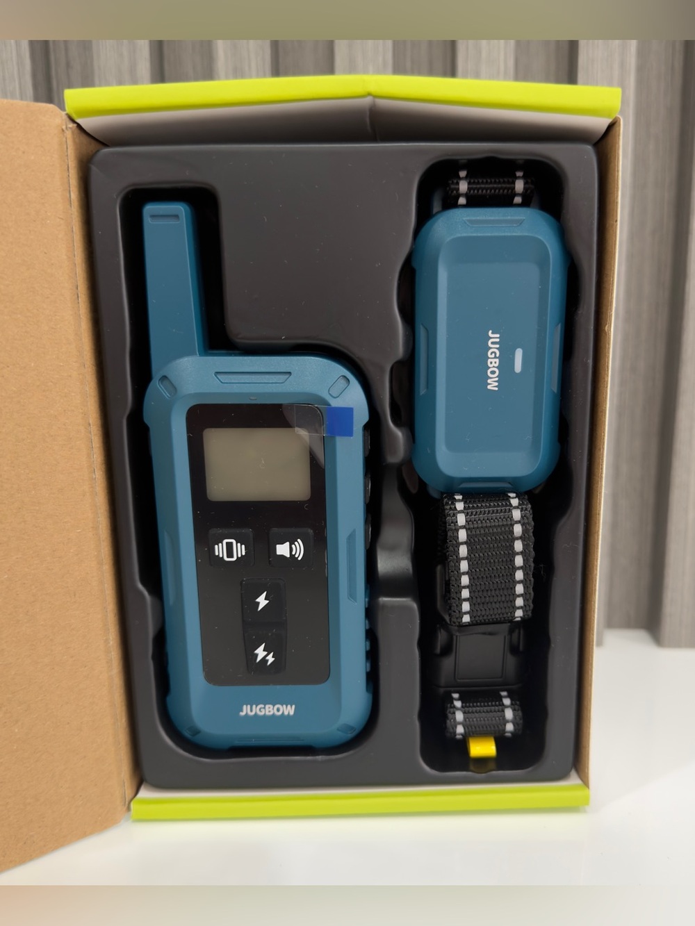 Teal Remote Training Collar and Receiver